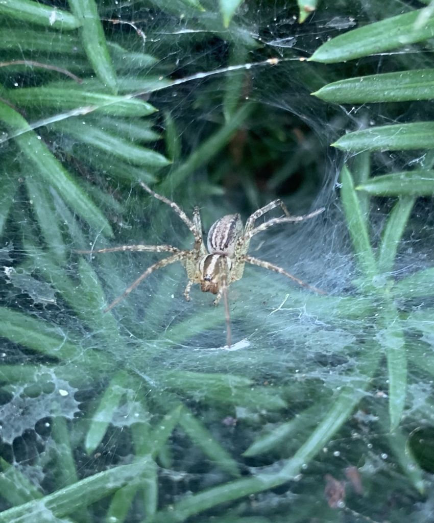 screenshot 2026 02 23 at 4.49.15 am