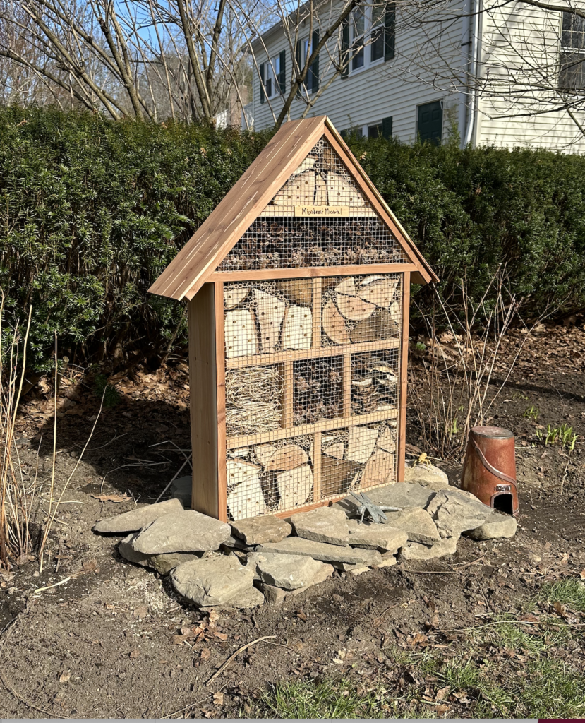 screenshot 2026 03 12 at 8.37.46 am