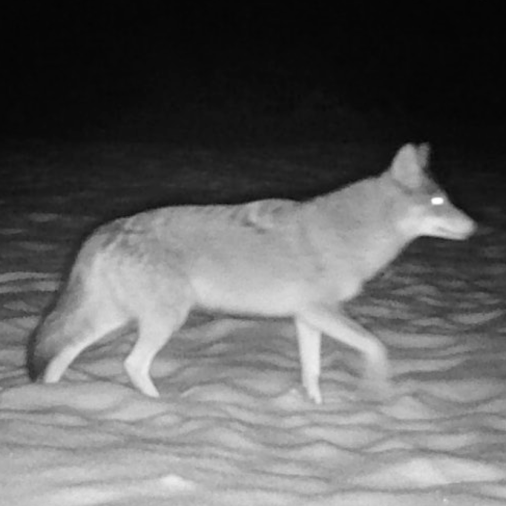 screenshot 2026 03 21 at 2.19.14 pm