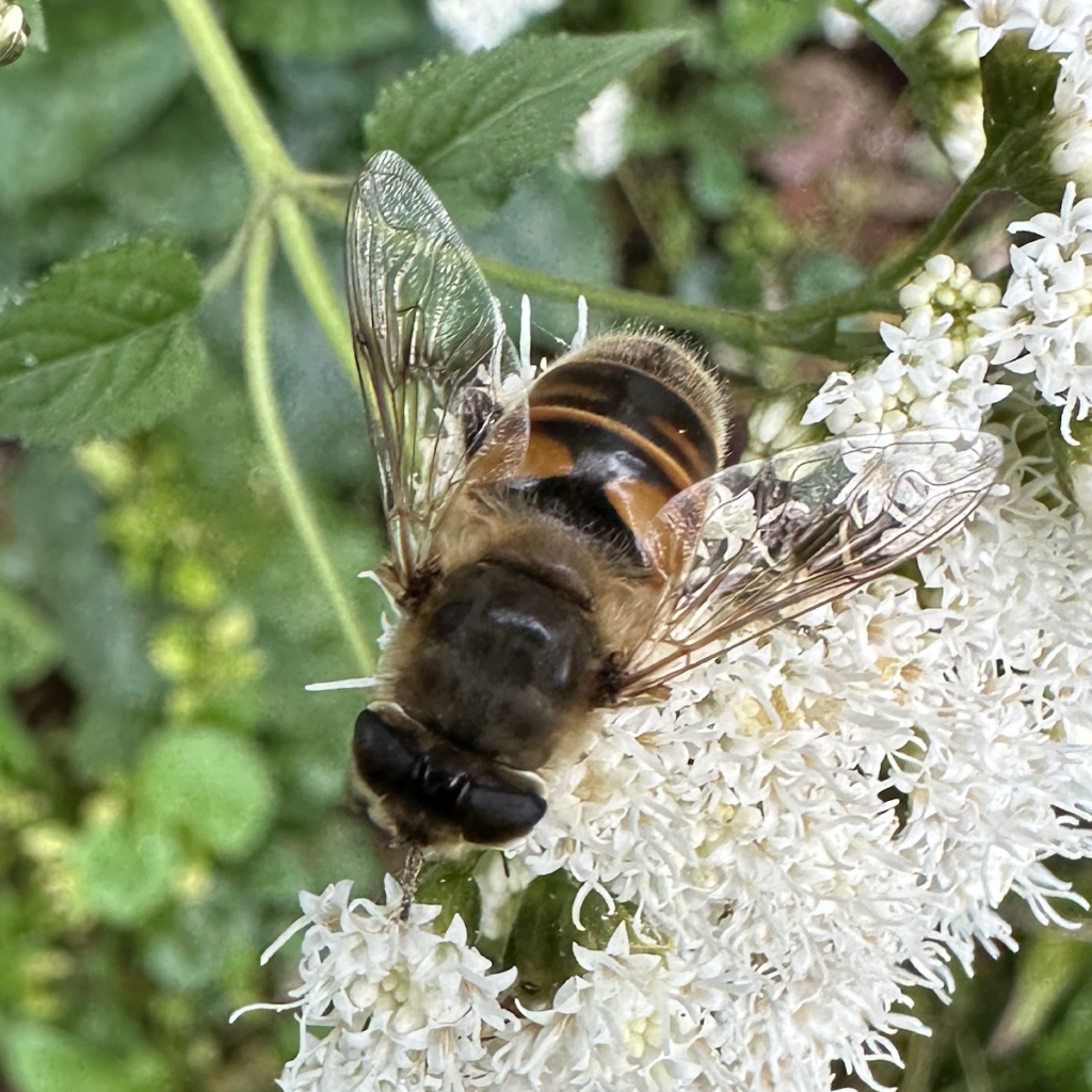 screenshot 2026 03 29 at 8.59.14 am