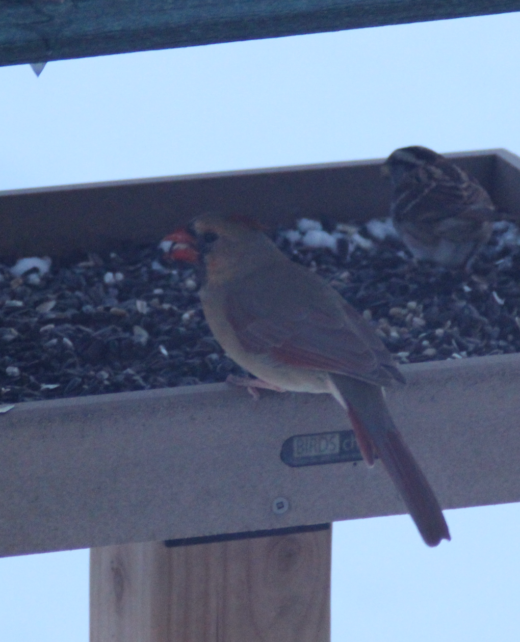 scaled (75% of 680x840)